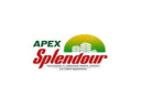 Apex Splendour Logo